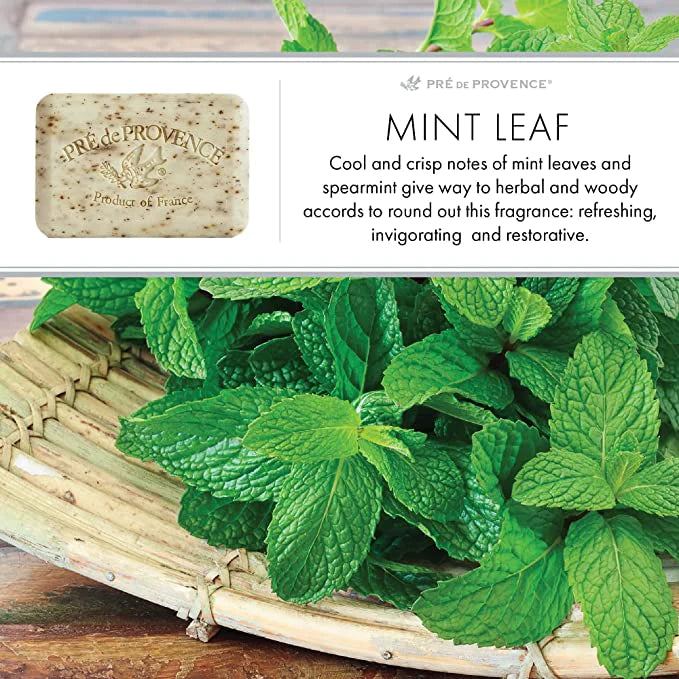 Mint Leaf French Bar Soap - I Love Bon Bon